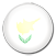 cyprus flag icon